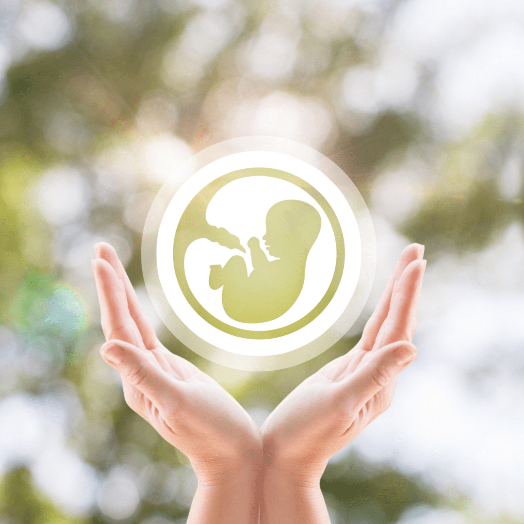 Embryos & IVF - Today Tomorrow & Always|DNA Keepsakes|Breastmilk-Hair-Ashes-Embryos| Laser Keepsakes