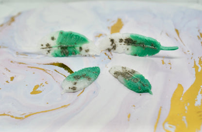 Feathers - Today Tomorrow & Always|DNA Keepsakes|Breastmilk - Hair - Ashes - Embryos| Laser Keepsakes
