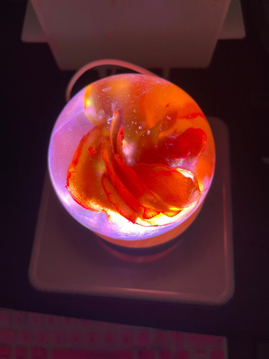 Light Bases - Today Tomorrow & Always|DNA Keepsakes|Breastmilk - Hair - Ashes - Embryos| Laser Keepsakes