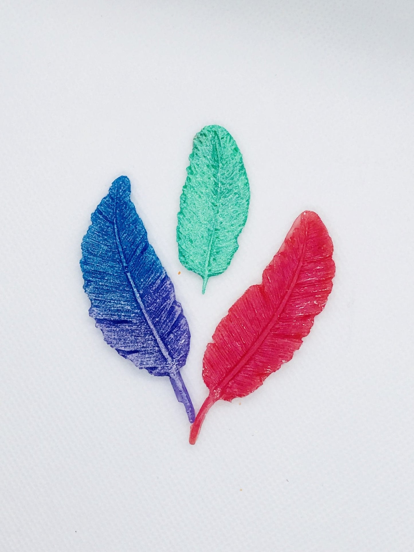 Feathers - Today Tomorrow & Always|DNA Keepsakes|Breastmilk - Hair - Ashes - Embryos| Laser Keepsakes