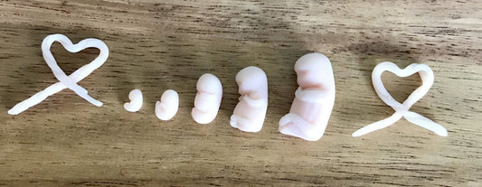 Handmade Clay babies - Today Tomorrow & Always|DNA Keepsakes|Breastmilk - Hair - Ashes - Embryos| Laser Keepsakes