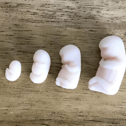 Handmade Clay babies - Today Tomorrow & Always|DNA Keepsakes|Breastmilk - Hair - Ashes - Embryos| Laser Keepsakes