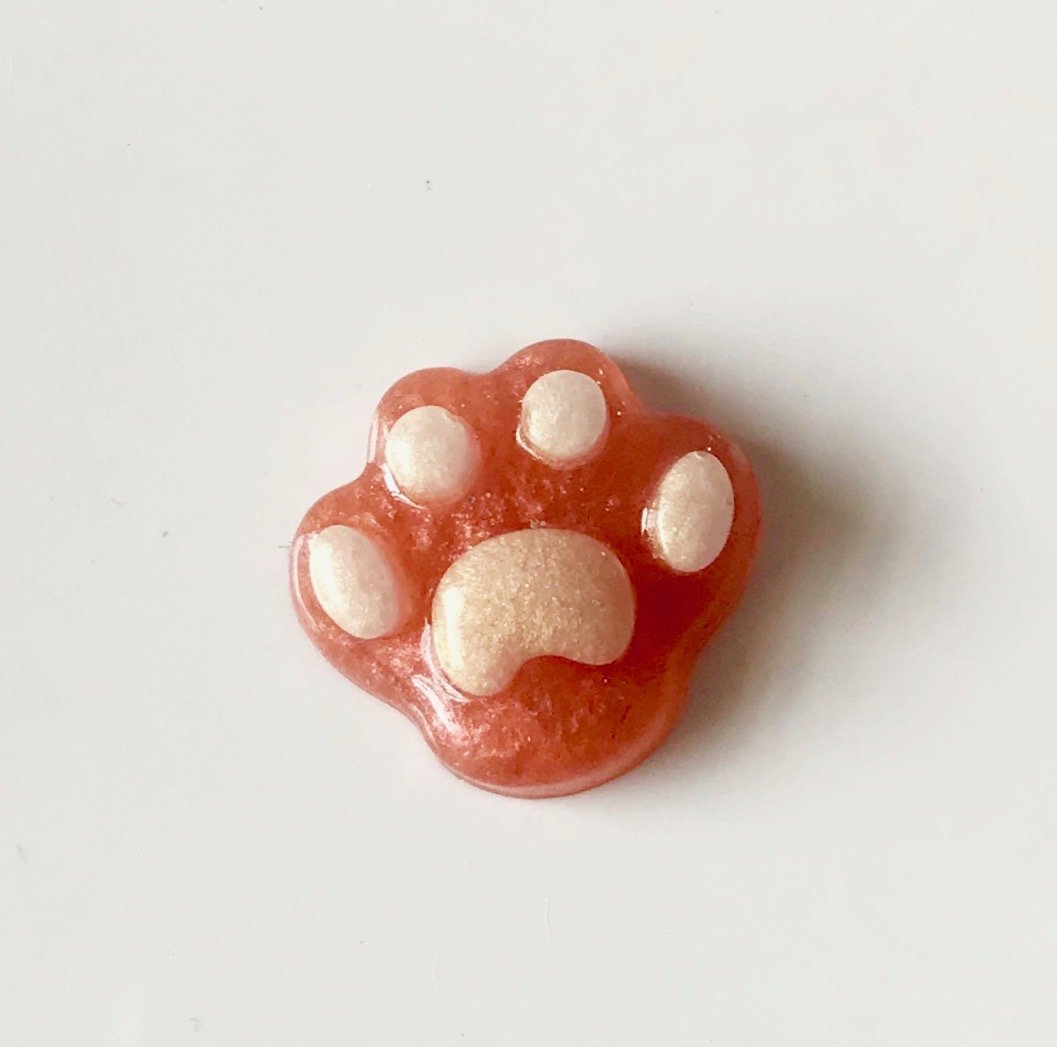 Pet & Paw keepsake set – personalised pet memorial tribute with ashes or fur inclusions